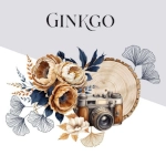 Ginkgo van Florilèges Design Ginkgo van Florilèges Design