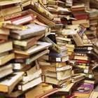 Libros, revistas y publicaciones