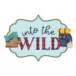 Into The Wild van Echo Park Into The Wild van Echo Park