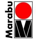Marabú