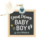 Special Delivery Baby Boy van Echo Park Special Delivery Baby Boy van Echo Park