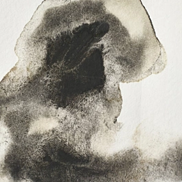 Aquarelle Professionnelle 428 Gris Ostwald S1 Winsor &amp; Newton 5ml