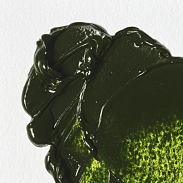 Tubetto di colori a olio 599 Verde Vescica S1 Winton Winsor and Newton 37ml