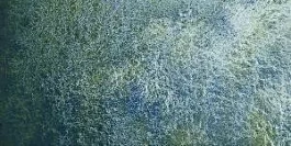 Tubo acuarela Horadam supergranulada Azul pradera 934 S.3 Schmincke 15ml