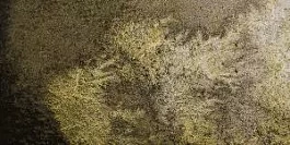 Tubo acuarela Horadam supergranulada Gris desierto 925 S.3 Schmincke 15ml