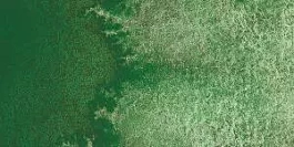 Tubo acuarela Horadam supergranulada Verde bosque 942 S.3 Schmincke 15ml