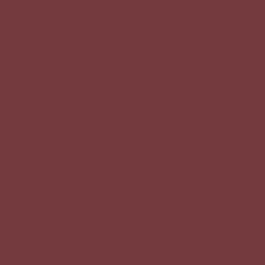 Matita Lightfast Raisin Derwent 