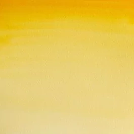 Acquerello medio godet 266 Gutagamba S1 Cotman Winsor and Newton
