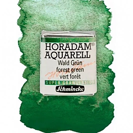 Horadam godet medio acquerello super granuloso Forest Green 942 S.3 Schmincke
