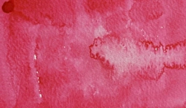 Acquerello giapponese gigante Godet 35 Rosso carminio Gansai Tambi Kuretake