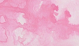 Acquerello giapponese gigante Godet 14 Fiori di ciliegio rosa Gansai Tambi Kuretake
