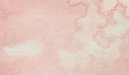 Acquerello giapponese gigante Godet 18 Rosa pallido Gansai Tambi Kuretake