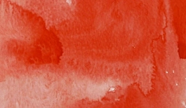 Acquerello giapponese gigante Godet 30 Rosso cadmio Gansai Tambi Kuretake