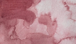 Acquerello giapponese gigante Godet 304 Alizarin Crimson Gansai Tambi Kuretake