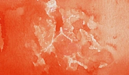 Acquerello giapponese gigante Godet 31 Cadmium Scarlet Gansai Tambi Kuretake