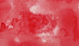 Acquerello giapponese gigante Godet 32 Rosso Gansai Tambi Kuretake