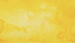 Acquerello giapponese gigante Godet 43 Giallo cadmio Gansai Tambi Kuretake
