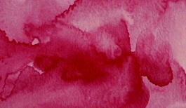 Acquerello giapponese gigante Godet 36 Vino Rosso Scuro Gansai Tambi Kuretake