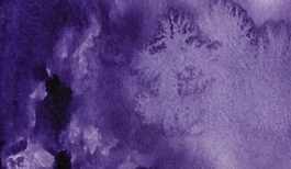 Acquerello giapponese gigante Godet 38 Imperial Violet Gansai Tambi Kuretake