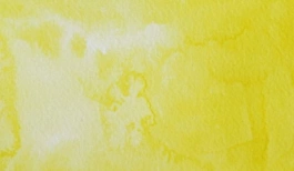 Acquerello giapponese gigante Godet 40 Giallo limone Gansai Tambi Kuretake