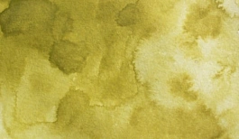 Acquerello giapponese gigante Godet 405 Verde Oro Gansai Tambi Kuretake