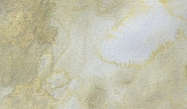Acquerello giapponese gigante Godet 406 Beige Grigio Gansai Tambi Kuretake