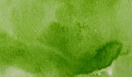 Acquerello giapponese gigante Godet 51 Verde salvia chiaro Gansai Tambi Kuretake