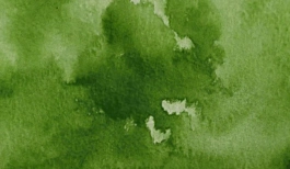 Acquerello giapponese gigante Godet 53 Savia Verde Gansai Tambi Kuretake