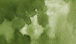 Acquerello giapponese gigante Godet 54 Verde oliva Gansai Tambi Kuretake