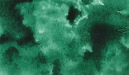 Acquerello giapponese gigante Godet 56 Verde foresta Gansai Tambi Kuretake