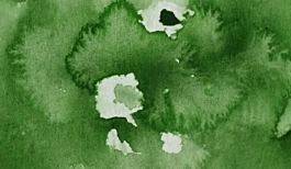 Acquerello giapponese gigante Godet 58 Verde scuro Salvia Gansai Tambi Kuretake