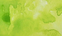 Acquerello giapponese gigante Godet 59 Verde lime Gansai Tambi Kuretake