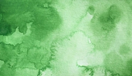 Acquerello giapponese gigante Godet 505 Erba verde Gansai Tambi Kuretake