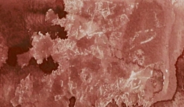 Acquerello giapponese gigante Godet 71 Rosso indiano Gansai Tambi Kuretake