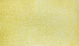 Acquerello giapponese gigante Godet 740 Giallo perla limone Gansai Tambi Kuretake