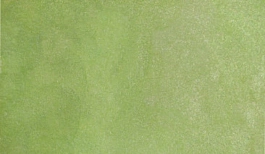 Acquerello giapponese gigante Godet 751 Verde perla maggio Gansai Tambi Kuretake