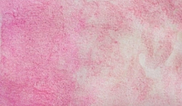 Acquerello giapponese gigante Godet 831Gema Rosa Gansai Tambi Kuretake