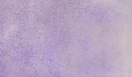 Acquerello giapponese gigante Godet 861 Violet Gem Gansai Tambi Kuretake