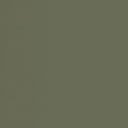 Derwent Chromaflow Buntstift  1831 Leaf Green 