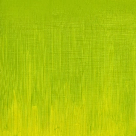 Tubo de óleo sem cádmio 897 S4 Artists' Green 37ml da Winsor and Newton Artists' Pale Green