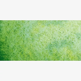 Tubo acuarela Horadam supergranulada Verde pradera 933 S.3 Schmincke 15ml
