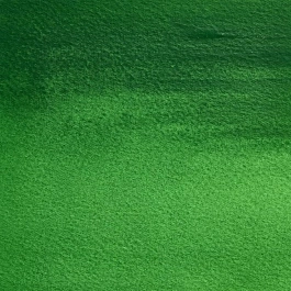 Aquarel medium godet Cinnabar Green S2 Professional Winsor and Newton