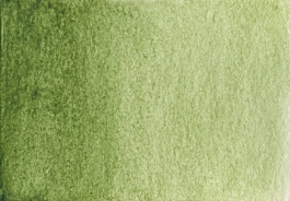 Aquarelle Terre verte, chaude S1 Demi godet A. Gallo
