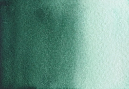 Aquarelle vert forêt S2 Medium godet A. Gallo