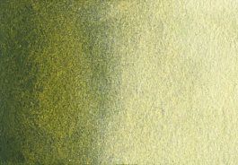 Aquarelle Vert olive, S2 profond Godet moyen A. Gallo