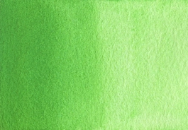 Aquarelle vert printemps S2 Medium godet A. Gallo