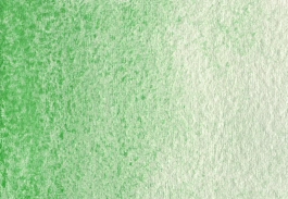 Aquarelle Victoria Green S2 Medium godet A. Gallo