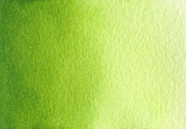 Aquarelle Sève verte S3 Medium godet A. Gallo