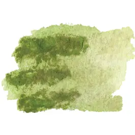 Daniel Smith Watercolor Stick Serpentine Genuine 