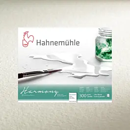 Carta da acquerello Harmony Hahnemühle grana satinata 50x65 cm 300 gr/m2